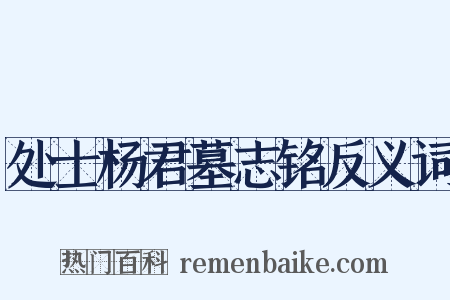 处士杨君墓志铭反义词是什么意思的图片